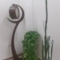 ساعت ایستاده
