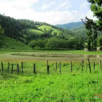 گروه بومگردی فرهنگی گردشگری