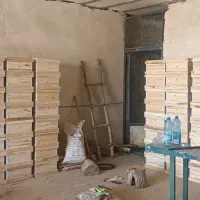 طبق کندو همراه با کادر
