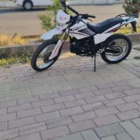 راتو۲۵۰ سرحال وتمیز
