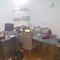 دستیار مدیر عامل