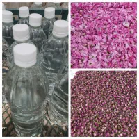 فروش گل محمدی