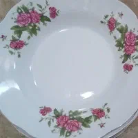 **ظروف چینی و شیشه**