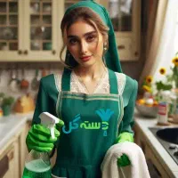 خدمات نظافتی پاکین نماد مهر تمام مناطق
