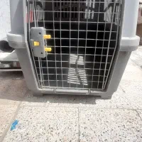 باکس سگ بزرگ شماره ۵