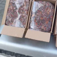 خرما تازه بم کرمان