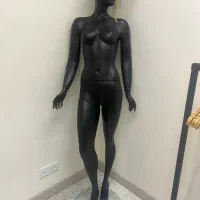 مانکن و رگال