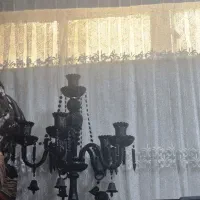 شمعدانی مشکی