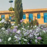 اجاره-ویلا-باغ