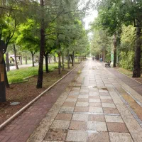 رهن کامل نیم طبقه بر بلوار نارنج