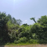 زمین بافت روستایی شالما
