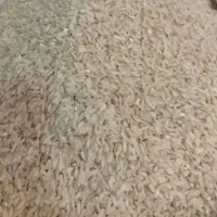 برنج محلی عنبربو