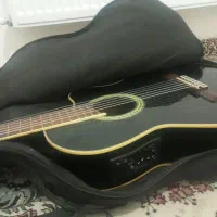 سانتانا پیکابدار نو با پیکاب قوی