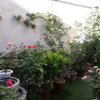 فروش زمین ۶۶ متری در مینا|فروش زمین و ملک کلنگی|تهران, مینا|دیوار