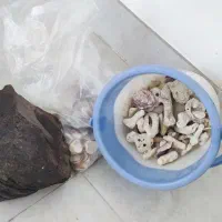تزیینات اکواریوم