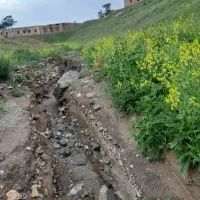جویای نگهبانی