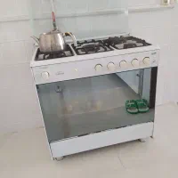 گاز برقی سالم درخدنو