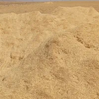 کاه گندم دیم