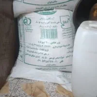 منیخ