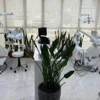 دستیار دندانپزشک