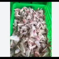 غذا سگ|لوازم جانبی حیوانات|دزفول, |دیوار