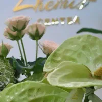 تبلیغات در ایتا بله و روبیکا