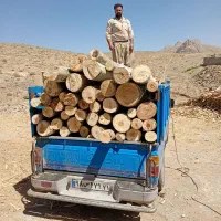 خرید و برش انواع چوب