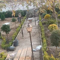 خدمات باغبانی گلکاری درختکاری هرس درختان کوددهی