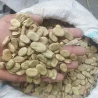 باقلا پزا درجه یک