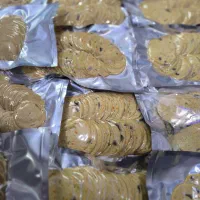 سوسیس و‌کالباس خانگی