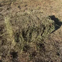 یونجه خالص خشک هم پرس هم باغ دستی بدون علف پرگل