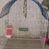 قفس پرنده