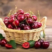 فروش گیلاس