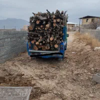 خرید چوب باغی و تسویه رو باسکول