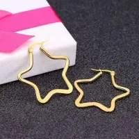 گوشواره استیل
