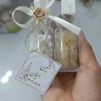 شاخه نبات