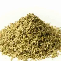 آویشن سوزنی