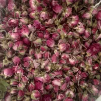 گل محمدی