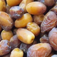 فروش رطب برحی و کبکاب