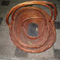 سبد میوه نو