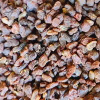 کشمش آفتابی بیدونه