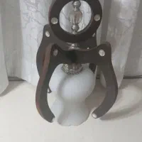 لوسترزیبا وکاملاسالم