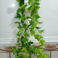 ریسه