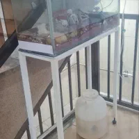 اکواریم