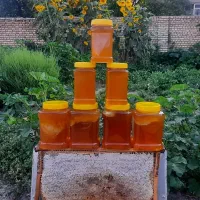 عسل طبیعی