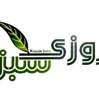 استخدام نیروی کار