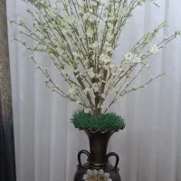 گل درخت شکوفه