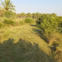 فروش باغ۱۰۰۰متر
