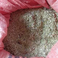 کاه عدس درجه یک ۱ تن