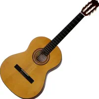 گیتار نو سالم